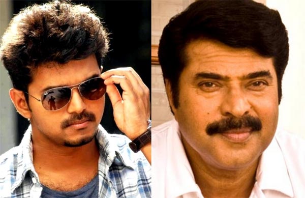 mammotty with vijay,hero vijay new movie,bharathan director,mammotty  స్టార్‌ హీరో సినిమాలో విలన్‌గా మెగాస్టార్‌! 